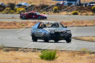 media/Nov-16-2024-Extreme Speed (Sat) [[6587d07cc4]]/Gold Group/Session 2 (Turns 3 and 5)/